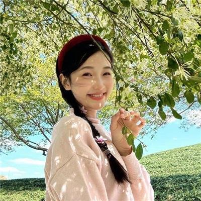 邦妮·帕克的故事